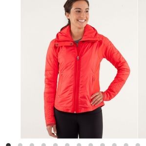 NWOT Bundle Up Jacket